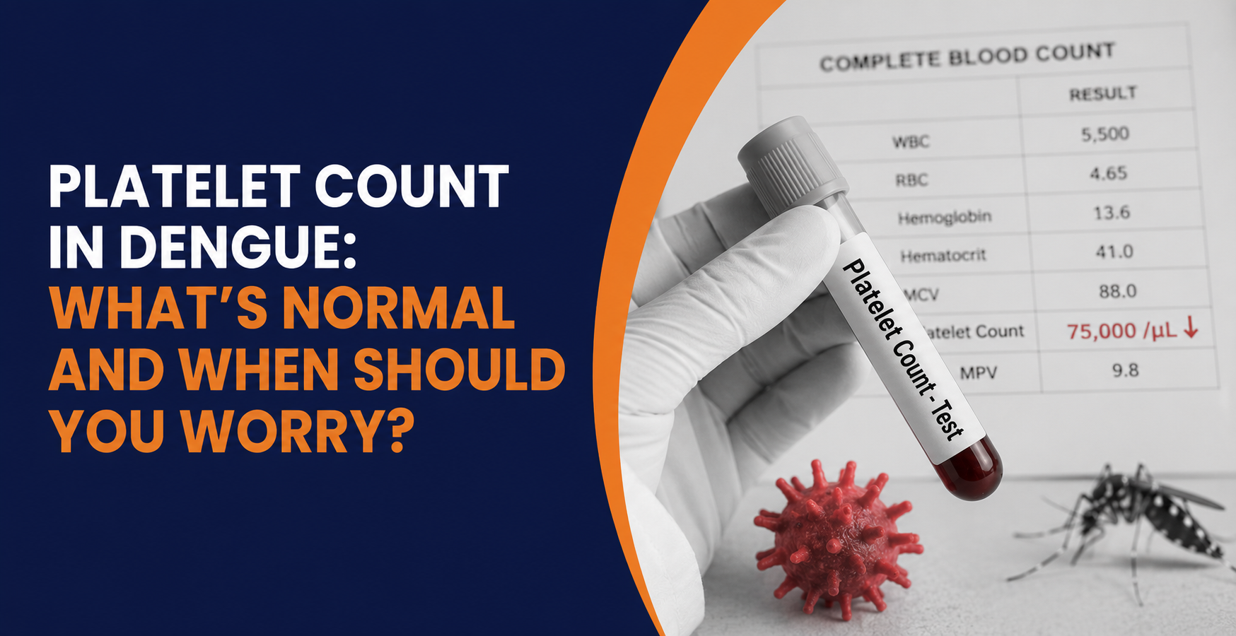 Platelet Count in Dengue: What’s Normal and When Should You Worry?